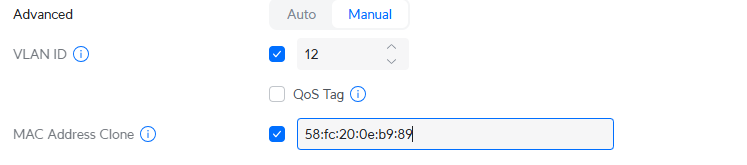 Router VLAN and MAC clone